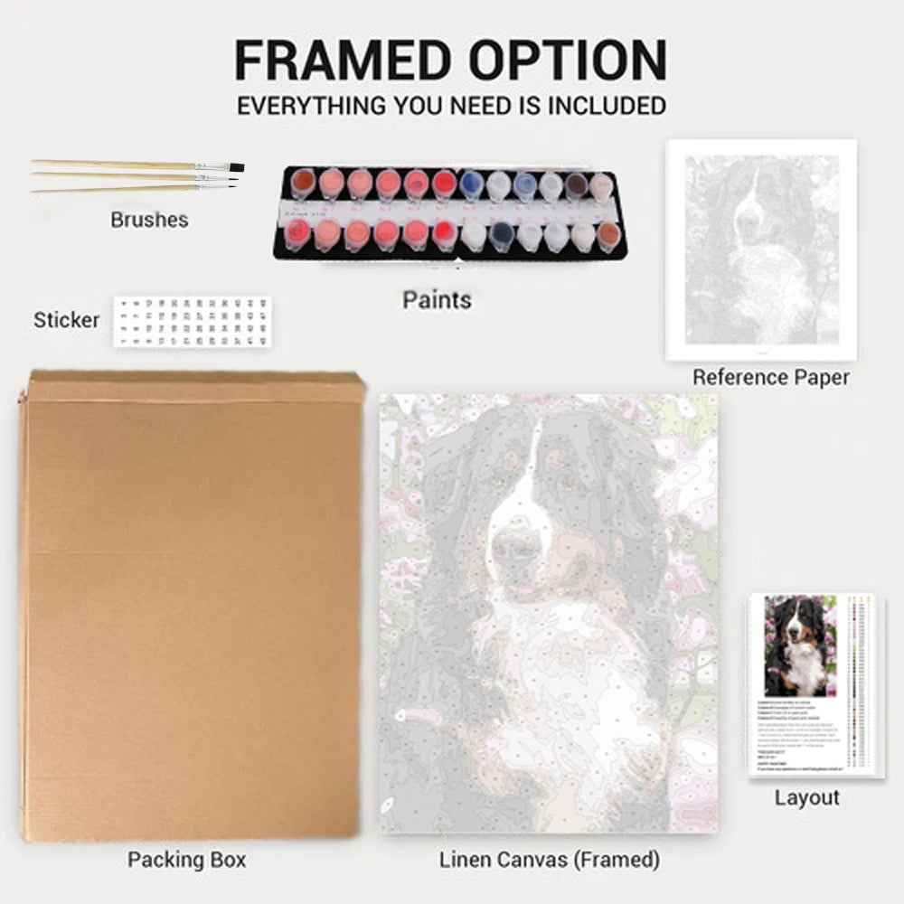 Kit Creativo - Dipingi con i numeri - Gatto