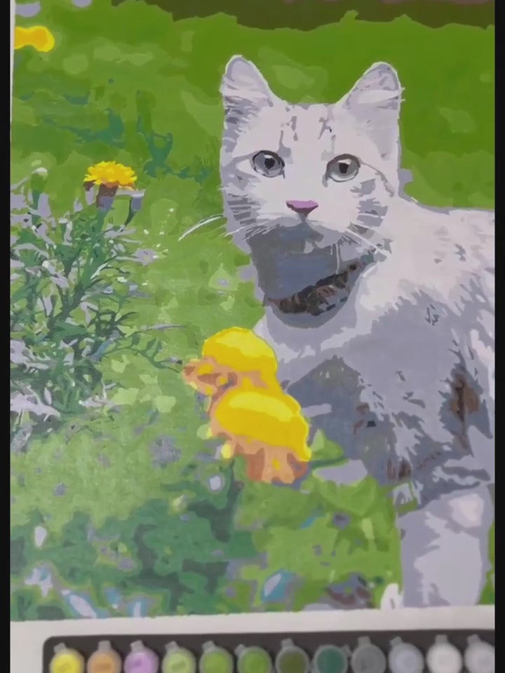 Kit Creativo - Dipingi con i numeri - Animali